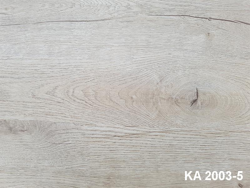 Sàn nhựa Ecofloor 2003-5